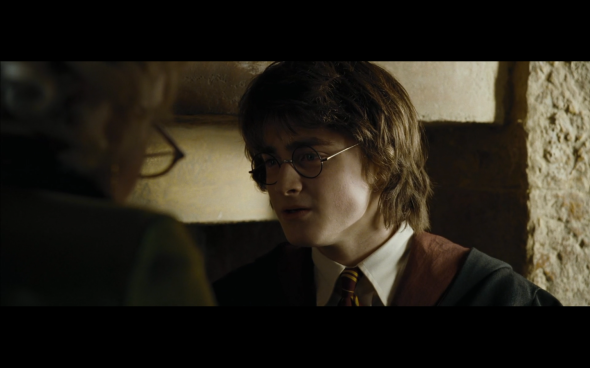 Harry Potter and the Goblet of Fire - 618