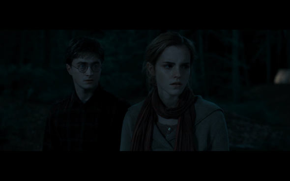 Harry Potter and the Deathly Hallows Part 1 - 705