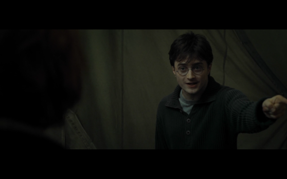 Harry Potter and the Deathly Hallows Part 1 - 737
