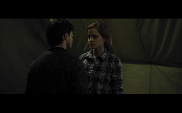 Harry Potter and the Deathly Hallows Part 1 - 782