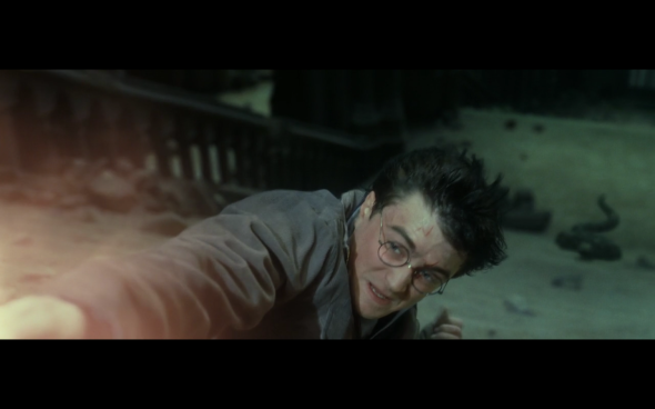 Harry Potter and the Deathly Hallows Part 2 - 1149