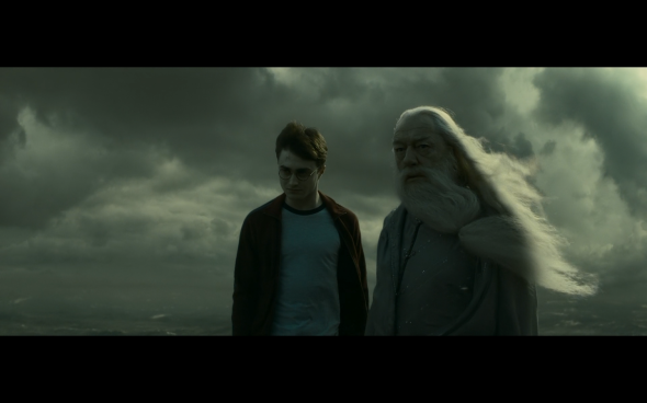 Harry Potter and the Half-Blood Prince - 1041