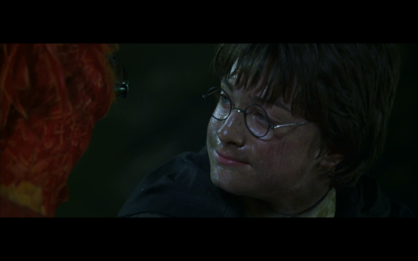 Harry Potter and the Chamber of Secrets - 1123