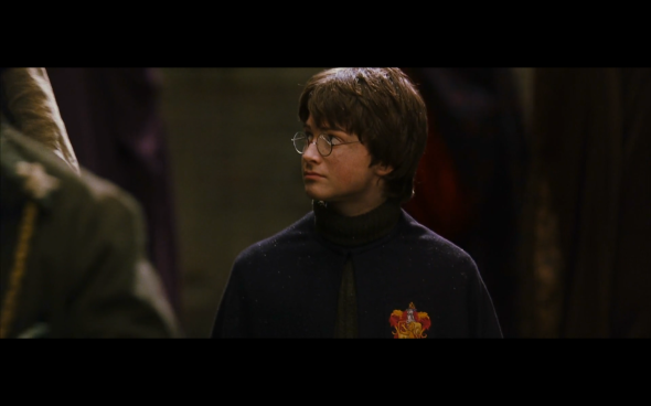 Harry Potter and the Chamber of Secrets - 210