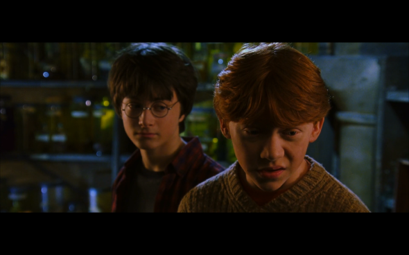 Harry Potter and the Chamber of Secrets - 364