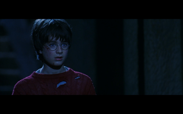 Harry Potter and the Sorcerer's Stone - 776