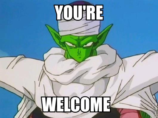 Piccolo You're Welcome